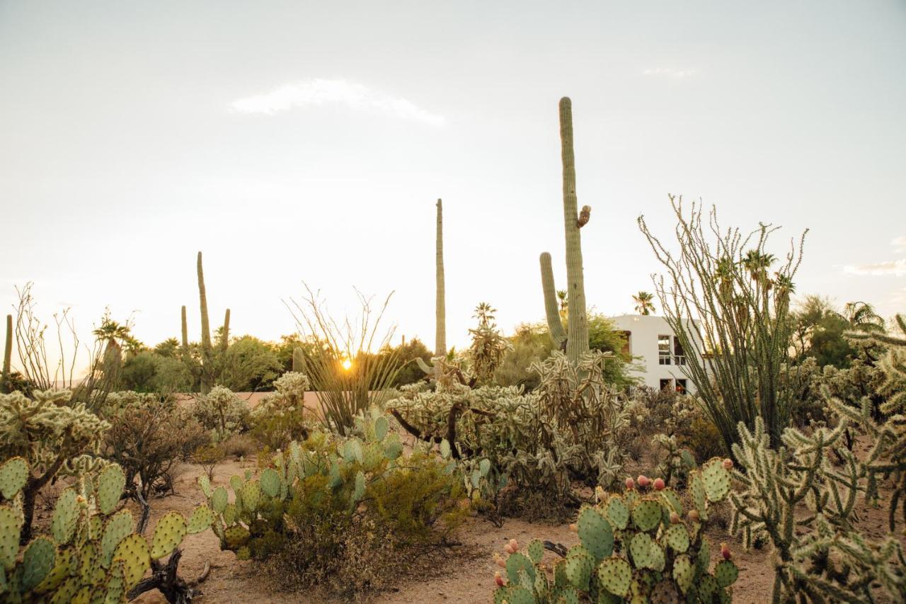 The Jth Tucson Hotel Avra ภายนอก รูปภาพ