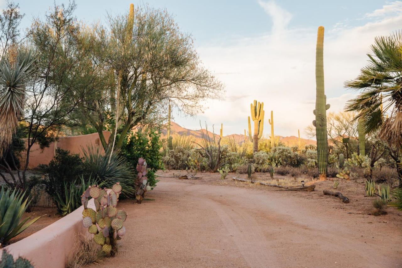The Jth Tucson Hotel Avra ภายนอก รูปภาพ
