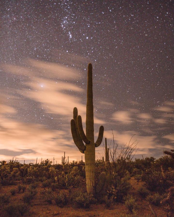 The Jth Tucson Hotel Avra ภายนอก รูปภาพ